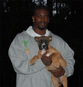 itunes pic